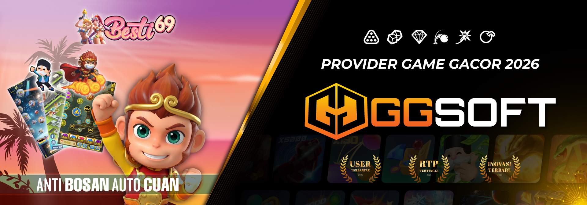 PROVIDER GGSOFT